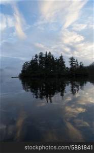 Evergreen Trees at coast, Skeena-Queen Charlotte Regional District, Haida Gwaii, Graham Island, British Columbia, Canada