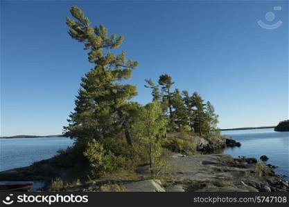 Evergreen Trees on the coast in a lake, Kenora, Lake of The Woods, Ontario, Canada