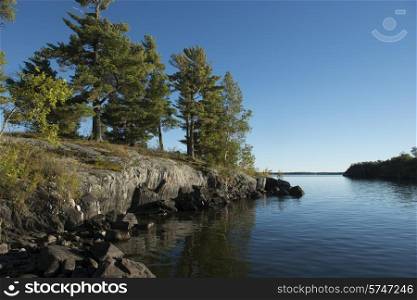 Evergreen Trees on the coast in a lake, Kenora, Lake of The Woods, Ontario, Canada