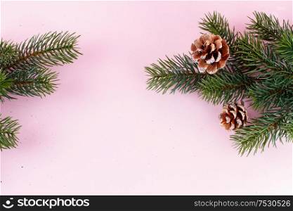 Evergreen twigs on pink background with copy space, flat lay top view. Evergreen twigs on pink