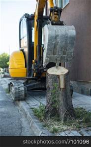 Excavator rooting a tree on the street. Safe nature and construction concept.