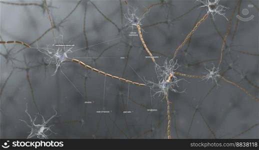 Excitatory effects of excitatory neurotransmitters on neurons 3D illustration. Excitatory effects of excitatory neurotransmitters on neurons