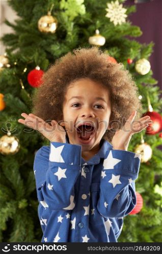 Excited Young Boy In Front Of Christmas Tree