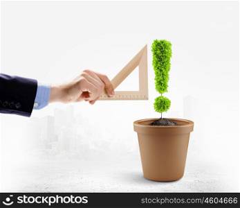 Exclamation mark. Image of plant in pot in shape of exclamation mark