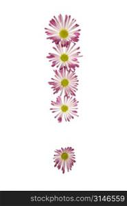Exclamation Point Made Of Pink And White Daisies