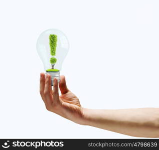Exclamation symbol. Human hand holding bulb with exclamation sign