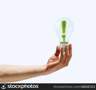 Exclamation symbol. Human hand holding bulb with exclamation sign inside