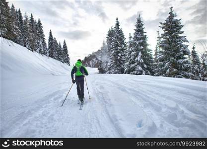 Excursion with mountaineering skis. A man alone in the lane in the woods