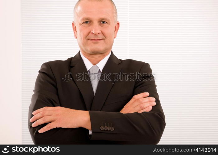 Executive successful mature businessman wear suit and tie professional portrait