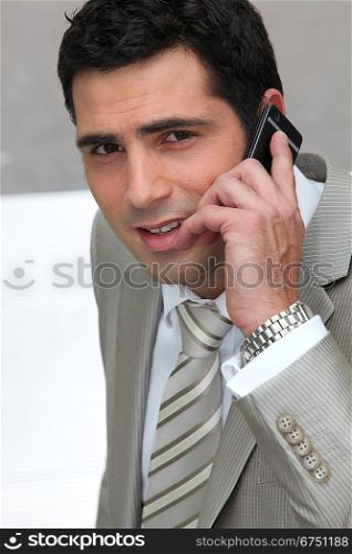 Executive using a cellphone