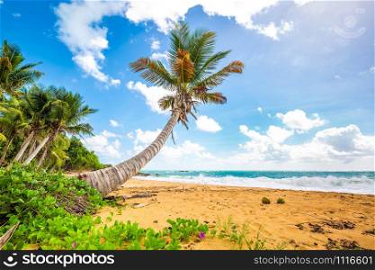 Exotic carribean shore of Puerto Rico Flamenco beach shore. Exotic carribean shore of Puerto Rico Flamenco beach