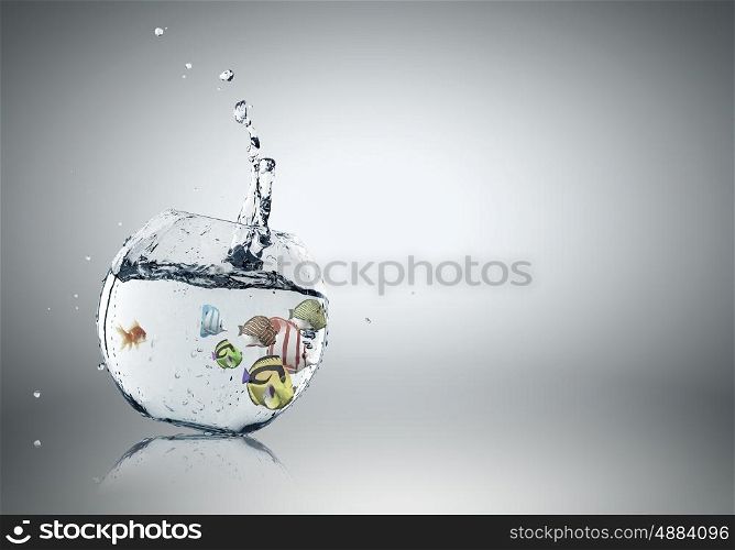Exotic fish. Exotic fish in round aquarium with clear blue water