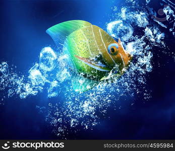 Exotic fish in water. Exotic tropical fish in clear crystal blue water