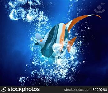 Exotic fish in water. Exotic tropical fish in clear crystal blue water