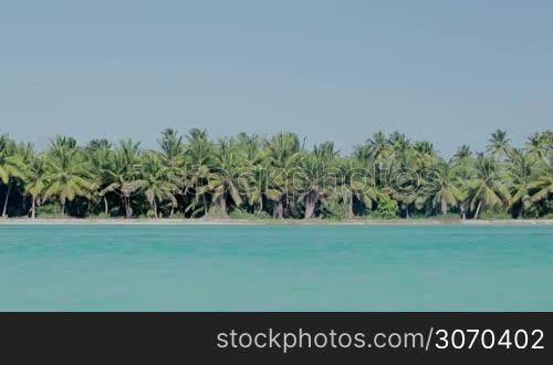 Exotic nature scene. Sea shore with many palms and clear blue water in foreground on bright summer day