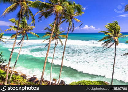 Exotic tropical hollidays - tranquil beautiful beaches of Sri Lanka island. Palm trees over turquoise sea. splendid beaches and nature of Sri Lanka