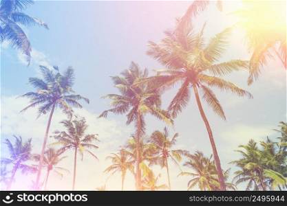 Exotic tropical palm trees at summer, view from bottom up to the sky at sunny day with retro stylized film light leak