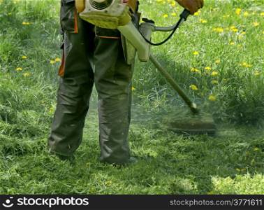 Experienced worker cut grass with Lawn mower in garden