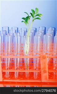 Experiment with green seedling in lab