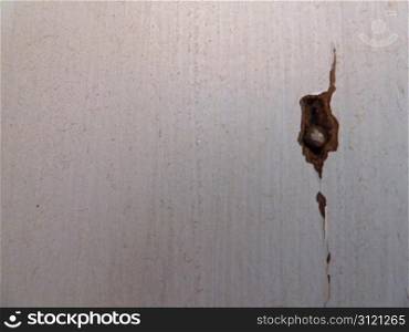 exposed nail head in split wooden surface