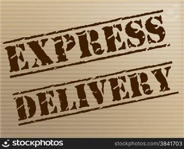 Express Delivery Showing Sending Quick And Package