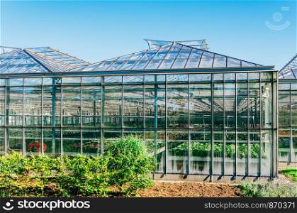 Exterior of a flower growing greenhouse in the Netherlands.. Exterior of a flower growing greenhouse in the Netherlands