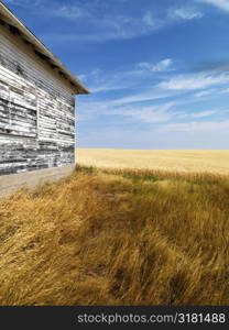 Exterior of weathered abandoned building with peeling paint in grasslands.