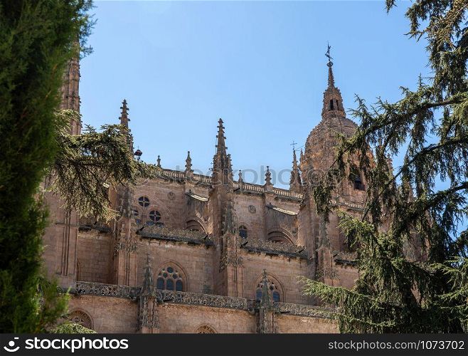 Exterior view of the dome and carvings on the roof of the old Cathedral in Salamanca. Ornate dome on the new Cathedral in Salamanca