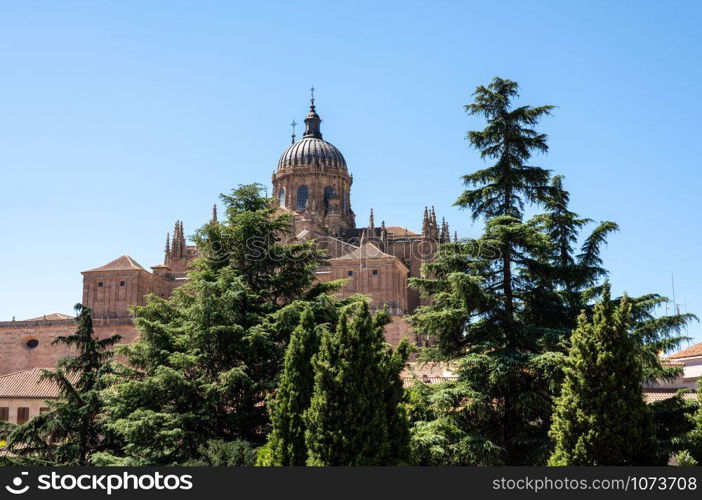 Exterior view of the dome and carvings on the roof of the old Cathedral in Salamanca. Ornate dome on the new Cathedral in Salamanca