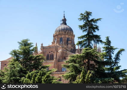 Exterior view of the dome and carvings on the roof of the old Cathedral in Salamanca. Ornate dome on the new Cathedral in Salamanca