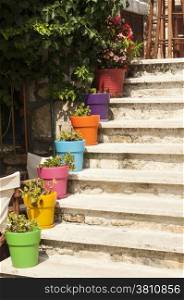 External staircase of house with colorful flowerpots