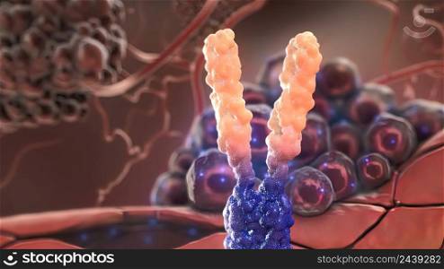 Extracellular domain receptor and antibody 3D illustration. Extracellular domain receptor and antibody