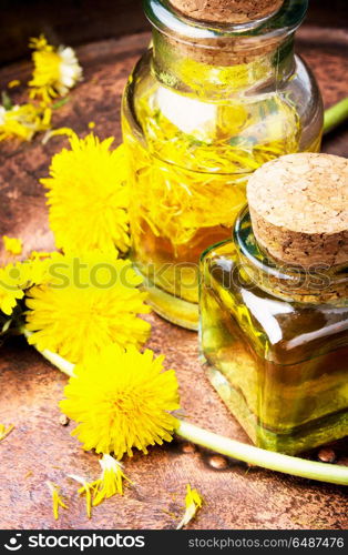 Extraction of flowers dandelions. Bottle of essential oil with flowers dandelions.Healing herbs.Dandelions tinctures