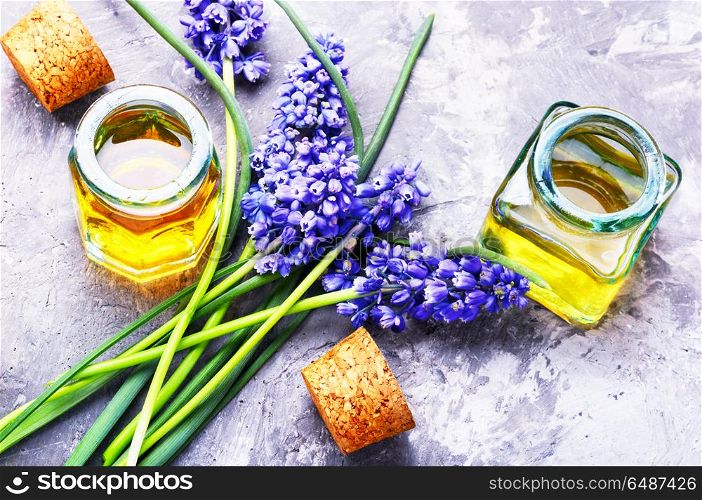 Extraction of flowers hyacinth. Bottle of essential oil with flowers hyacinth