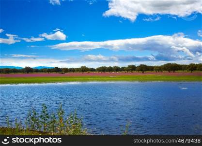 Extremadura dehesa grasslands lake in Spain along Via de la Plata way