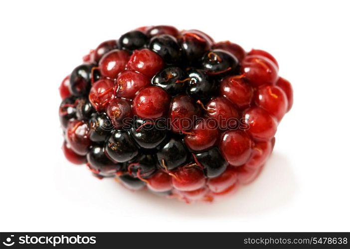 Extreme close up of berry isolated on white