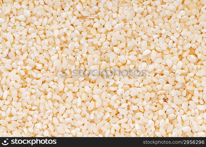 Extreme close up of white rice background