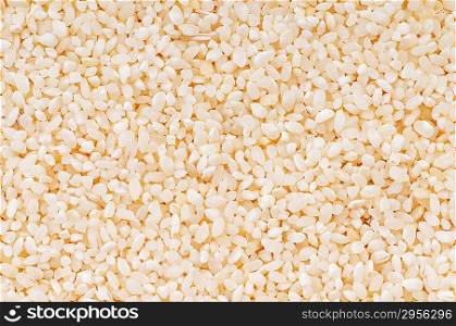 Extreme close up of white rice background