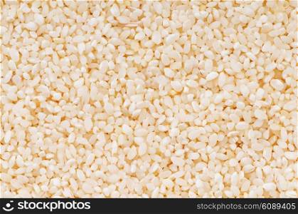 Extreme close up of white rice background&#xA;