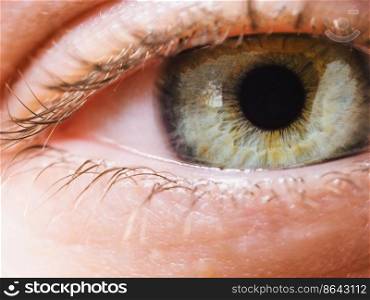 Extreme close up of woman&rsquo;s grenn eye iris. Human eye iris contracting.
