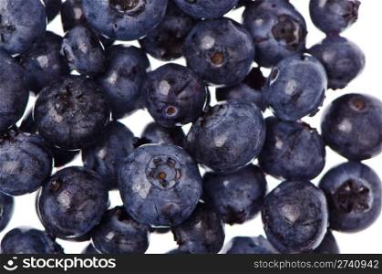Extreme macro of Blueberries on white background
