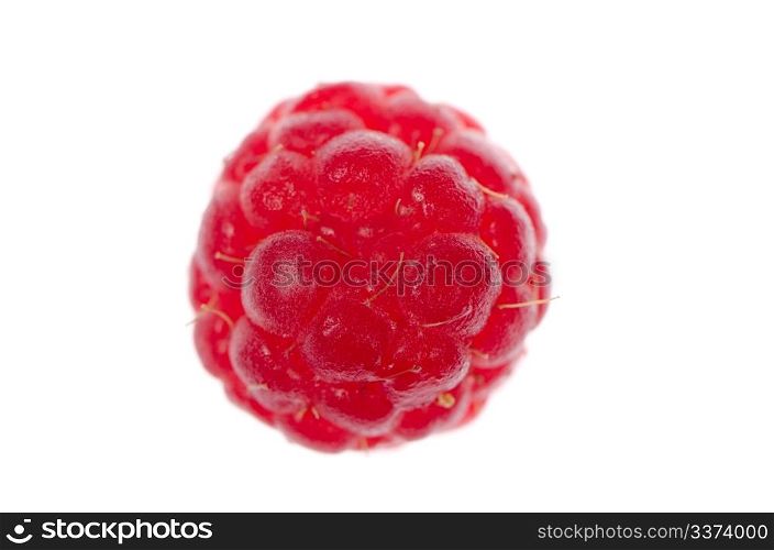 Extreme macro of red raspberry on white background.