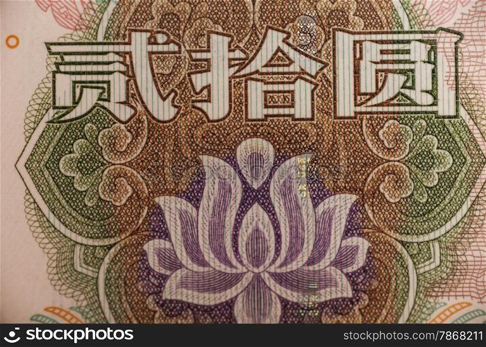 Extreme of flower in Chinese Yuan banknote