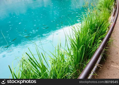 Extremely clear blue water of Plitvice Lakes, Croatia. Rainy day.