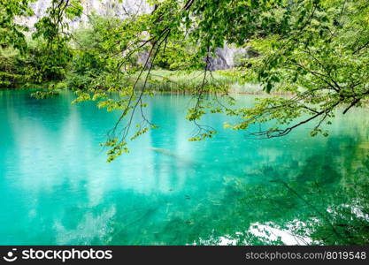 Extremely clear water of Plitvice Lakes, Croatia. Rainy day.