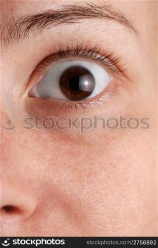 Eye - a photo close up. The detailed image of a human eye