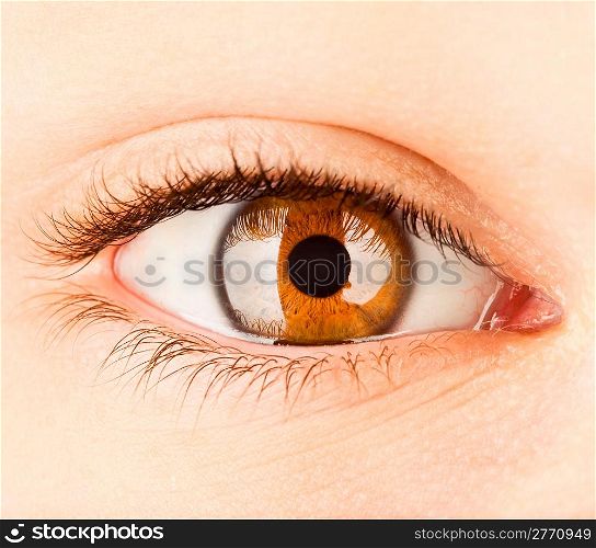 Eye of the person, a pupil photographed close up