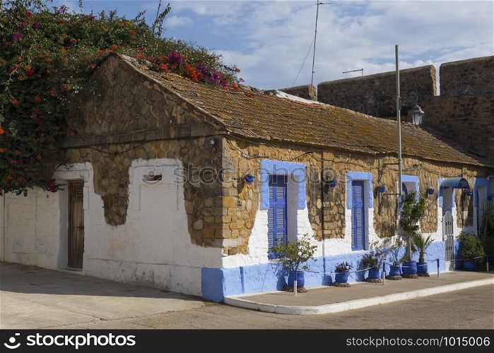 Facade of a traditional house with pot plants and flowering bougainville in the medina of Asilah, Morocco