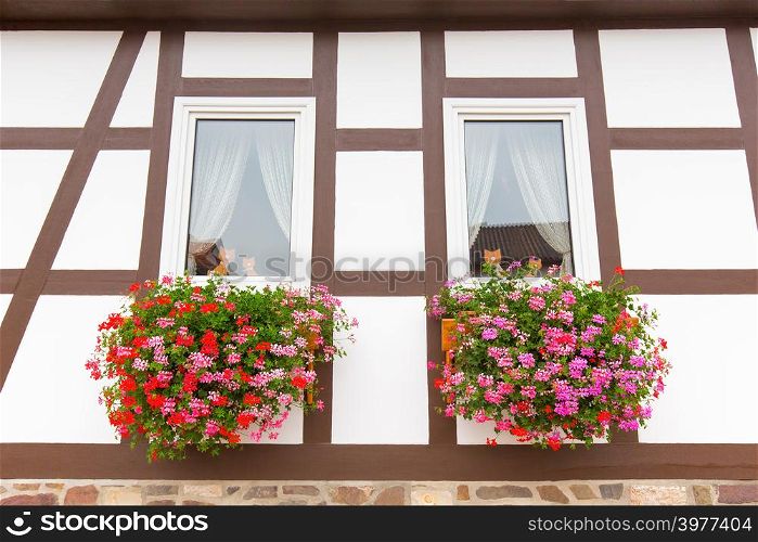 Facade of half-timbered house with geraniums in flower boxes