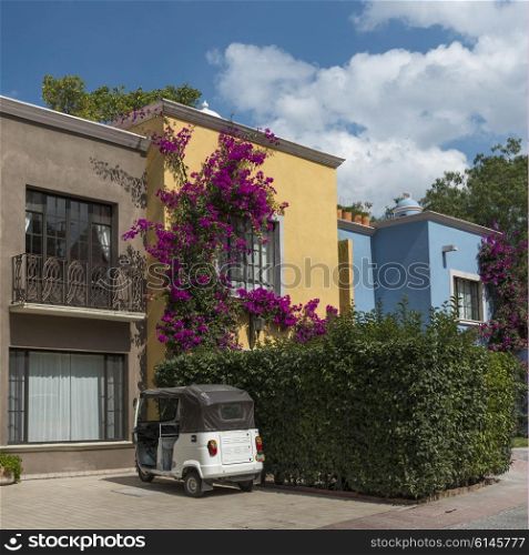 Facade of houses, Zona Centro, San Miguel de Allende, Guanajuato, Mexico